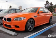 BMW M5 F10 em cor-de-laranja: Hot or Not?